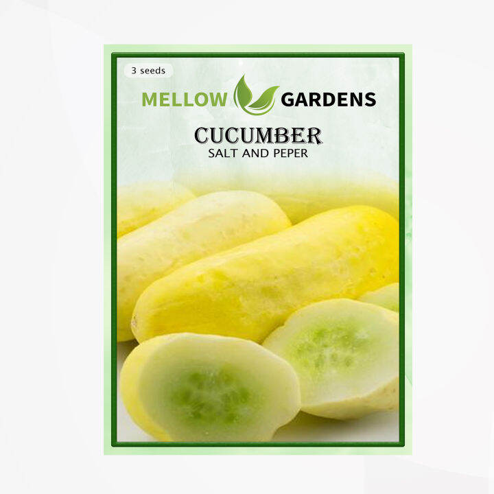 Salt and Pepper Cucumber Seeds Lazada PH