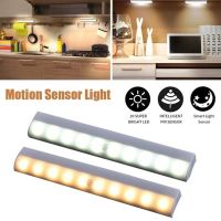 10 Led Wardrobe Nightlight Human Body Infrared Stair Outdoor Inligent Induction Lamp