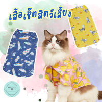 Pet Shirt เสื้อเชิ๊ตสัตว์เลี้ยง เสื้อหมา เสื้อแมว เสื้อสุนัข เสื้อฮาวาย เสื้อติดกระดุมหมา