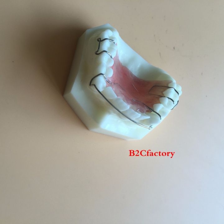 dental-hawley-retainer-model-teeth-study-teach-model-3007-01