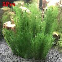 hot【cw】 SALE Aquarium Decorations Artificial Made Of Silk Fabrics Plasticfor All and Pets 5Pcs