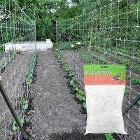 【CW】 Garden Trellis Netting Heavy-Duty Polyester Support Vine Climbing Hydroponics Net Accessories Use