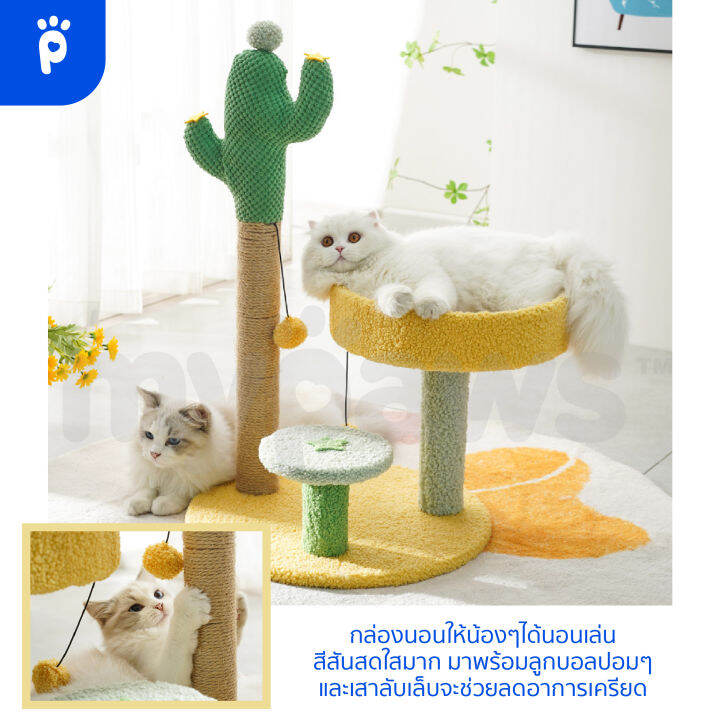 my-paws-เสาลับเล็บแมว-พร้อมที่นอน-เสาลับเล็บแมวน่ารัก