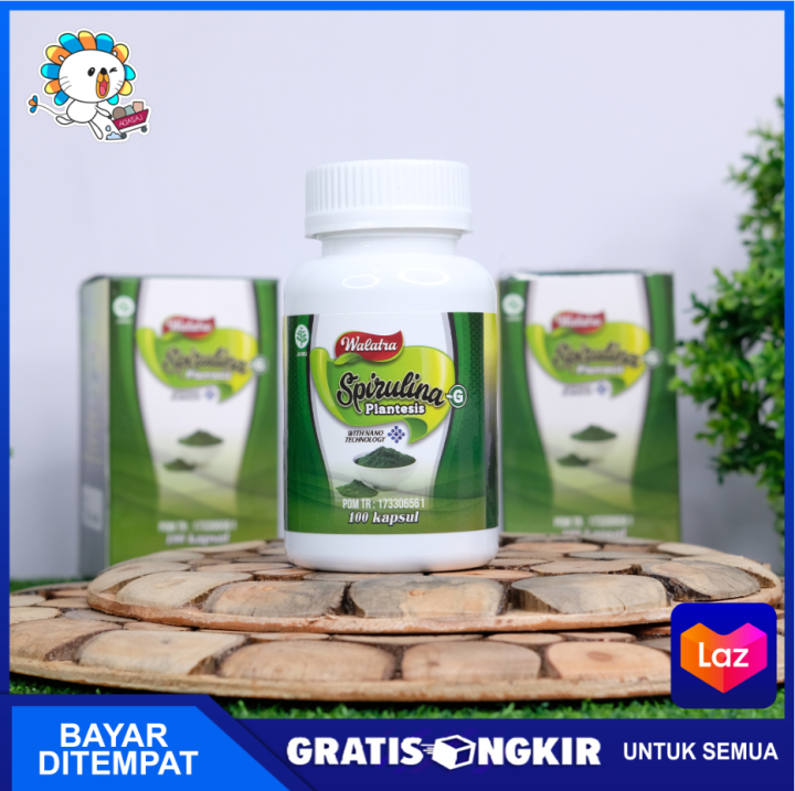 Obat Gemuk Yang Aman Untuk Ibu Menyusui Dan Ibu Hamil, Penggemuk Badan Herbal Alam, Suplemen