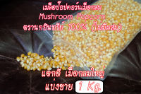 (ของแท้100%) ข้าวโพดป๊อปคอน เมล็ดข้าวโพดคั่ว Mushroom popcorn ตรานกอินทรีย์ แตกดี เม็ดกลมใหญ่ จำนวน 1 kg. (ส่งไว)