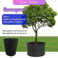 One Home กระถางเร่งรากโต กระถางมีรู มี 2 ขนาด