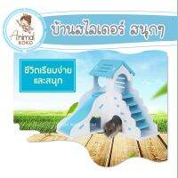 [Animal KOKO] บ้านของเล่น ? สำหรับสัตว์เลี้ยง สไลเดอร์ บ้านประกอบ กันน้ำ สำหรับแฮมสเตอร์