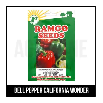 Bell Pepper - Yolo Wonder Seeds