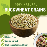 Green buckwheat grains 1000g  เมล็คบัควีท บักวีต / can be sprouting