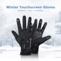 卍▽۩ Motorcycle Winter Gloves Snow Gloves winter gloves Waterproof Touch screen Thermal Guantes Motorbike Bicycle Ski Warm Gloves