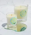 White Tea and Ginger Scent 6oz Soy Wax Scented Candle. 