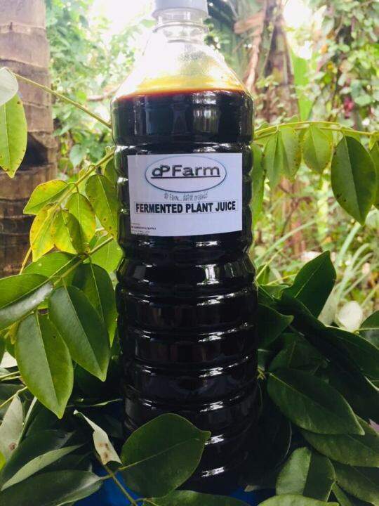 FPJ FERMENTED PLANT JUICE / Organic Fertilizer / NO ADDED WATER