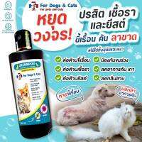 ? พร้อมส่ง ? แชมพูขี้เรื้อน 240 ml. หยุดวงจร ปรสิต เชื้อรา ขี้เรื้อน ยีสต์ อาการคัน สารสกัดหลักจากธรรมชาติ ใช้ได้ทั้งสุนัขและแมว