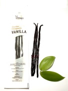 Quả Vanilla Madagascar Thượng hạng SET 10 GRAMS