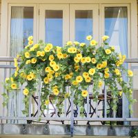 [ดอกไม้ประดิษฐ์ร้อน688] Flores De Vides De Vides Fantas Colgantes De Gloria De La Mañana Planta Verde Falsa Valla ผนัง De Jardpara El Hogar Cestas Colgantes De Boda Al Aire Libre