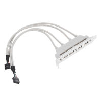 2.0 Usb 4พอร์ตแผงด้านหลังโครง Pci กับเมนบอร์ด9-Pin แบบคู่สายเคเบิลส่วนหัว Qjy99