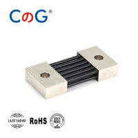 300A 1200A 400A 500A 600A 75mV 1500A CG FL-21 250A ผู้ผลิตส่งออกไต้หวัน DC Shunt Resistor