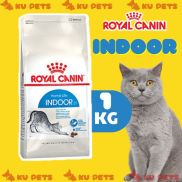 Thức ăn hạt Royal Canin Indoor cho mèo trưởng thành trên 12 tháng tuổi