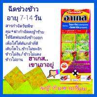 คุมฆ่าหญ้า ฆ่าหญ้าในนาข้าว ฮาเกส โคลมาโซน+โพพานิล ขนาด 1 ลิตร ใช้ฉีดในนาข้าวหลังหว่าน7-14วัน ข้าวไม่แดงไม่อาน จี้ได้ น้ำท่วมยอดได้