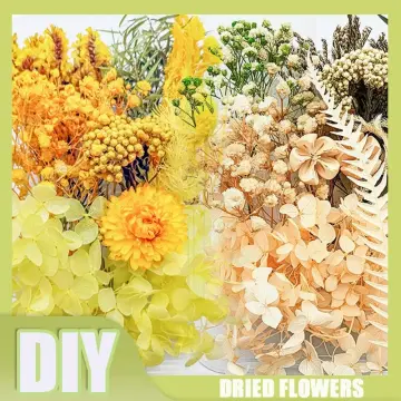 Floral Foam 12 Pcs Dry &Wet Flower Foam Round Florist Blocks