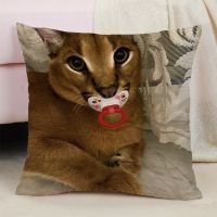 Cast Duduk caracal 45X45 pillowcase, double-sided printed decorative pillowcase