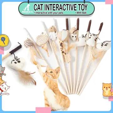 Cat accessories hot sale lazada