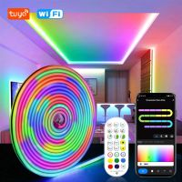 TUYA WiFi Smart RGBIC Neon Light 12V Dreamcolor Waterproof Led Strip Tape 3M 5M RGB Chasing Neon Decor Lights Work With Alexa