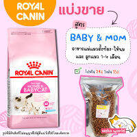 ❗ถูกสุด❗ Royal Canin อาหารแมว ?แบ่งขาย? สูตรแม่แมวและลูกแมว ล็อตใหม่ บรรจุถุงซิลล็อก ซีลร้อน ตั้งได้