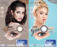 Angel zone รุ่น Molly สีน้ำตาล สีเทา คอนแทคเลนส์รายเดือน ขนาดเท่าตา คอนแทคเลนส์ Angelzone angel zone