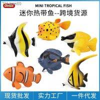 ? ของขวัญ จำลอง Solid Mini Marine ปลาเขตร้อนชุด Clownfish Angelfish Foxfish ของเล่นเด็ก