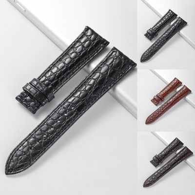 Real Alligator Watch Strap Genuine Leather Watch Bands For Men Or Women Watch Accessories 12 - 24mm (Not Included Buckle)