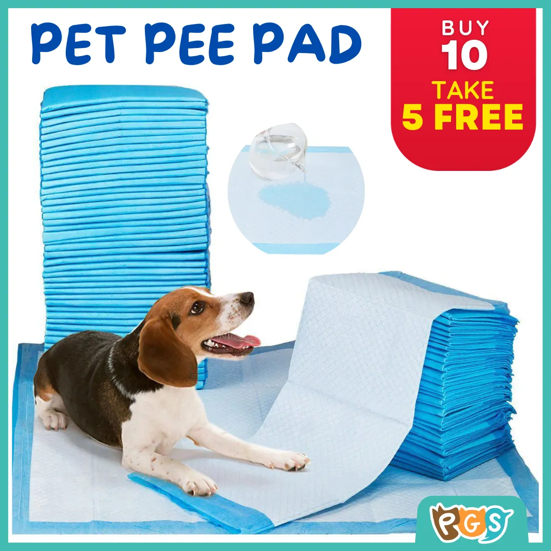 Are Dog Diapers For Poop