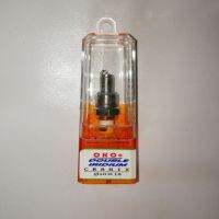 Spark Plug OKO Double Iridium CR8HIX 10x13