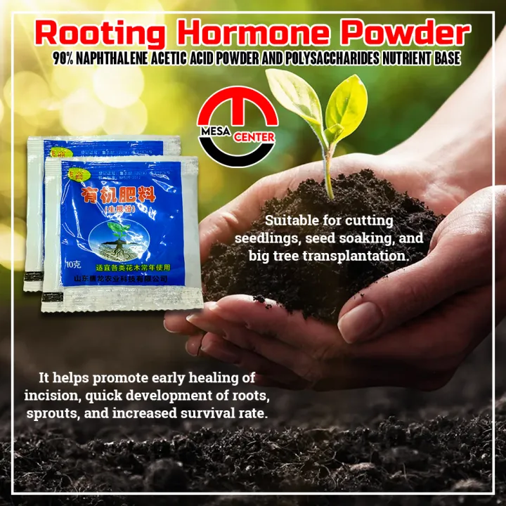 Rooting Powder 90%Naphthalene acetic acid powder for faster seed ...