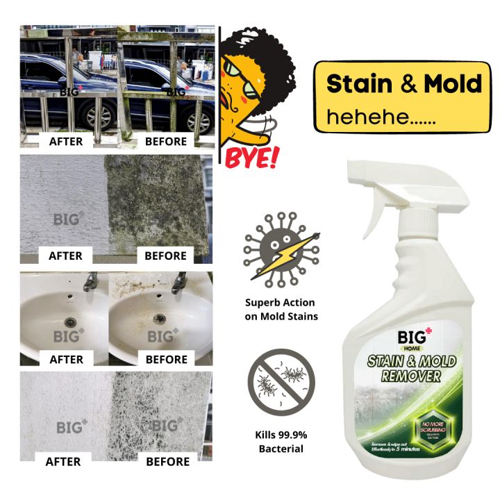 BIG+ Stain & Mold Remover (500ml) For Toilet Bathroom Mosaic Wall Mold