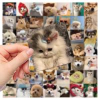 10/30/52PCS Cute Dog Cat MEME Stickers PVC Waterpoof Decals DIY Laptop Phone Luggage Stationary Funny Animal Sticker Toys Gift Stickers