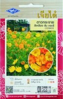 ดาวกระจาย สีเหลือง ส้ม คละสี Cosmos เมล็ดพันธุ์ดอกไม้ตราเครื่องบิน เจียไต๋