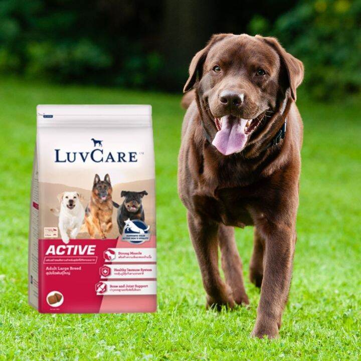 อาหารสุนัข-luvcare-active-สำหรับสุนัขโตพันธุ์ใหญ่ที่มีกิจกรรมมาก-3กก-1ถุง-luvcare-active-dog-food-for-large-breed-dogs-3kg-1bag