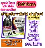 ไรขาวพริก ไรขาว หอม กระเทียม ส้มโอ กำจัดหายเรียบ ใบคลี่ ใบไม่สร้อย ใบม้วน ใบงอ ใบหงิก งุ้ม เรียว แก้ตรงจุด ชุดน้ำ200ลิตร หายชัวร์?