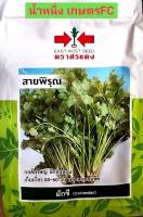 เมล็ดพันธุ์ ผักชี☘หมดอายุ 07/07/2567☘ สายพิรุณ ✔กอใหญ่ มีกลิ่นหอม เก็บเกี่ยว 55-60 วัน หลังหว่านเมล็ด บรรจุประมาณ 400 เมล็ด