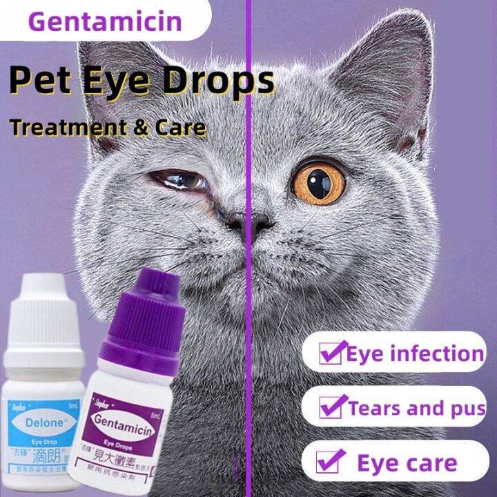 5 ml Gentamicin Eye Drops for Pet Cat Dogs Eye Infection Opthalmic