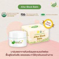 Pida organic After block balm (บาล์มทาลดอาการคันหลังยุงหรือแมลงกัดต่อยรวมทั้งผื้นคัน  บวมแดง ลดรอยดำ)