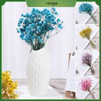 RONGW สีสัน ของตกแต่งบ้าน วัสดุธรรมชาติ อุปกรณ์ประกอบฉากภาพ มินิ Babysbreath ช่อดอกไม้ประดิษฐ์ธรรมชาติ ดอกไม้จริง ลำต้นของพืช