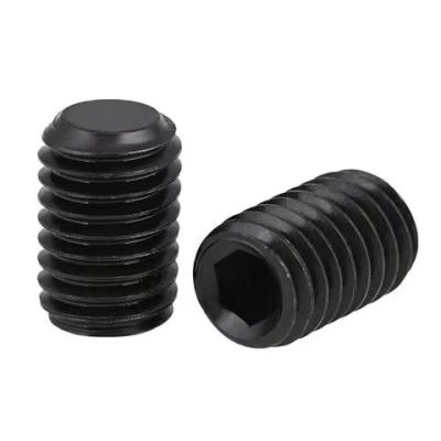 Iron black grade 12.9 hex socket flat end screw-6874