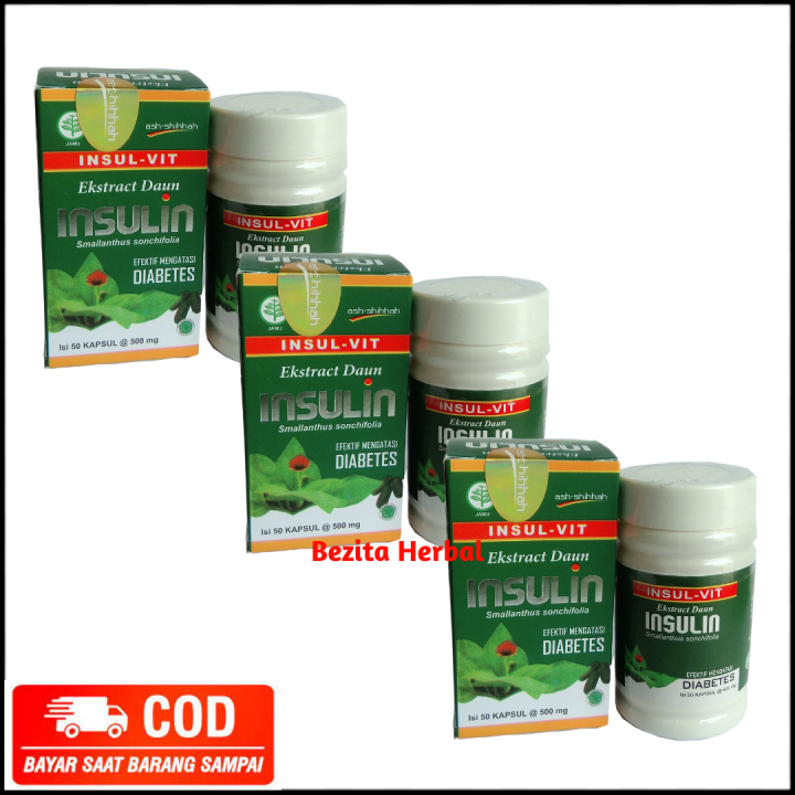 Paket Botol Kapsul Ekstrak Daun Insulin Ash Shihhah Kapsul Insulvit Original Herbal Diabetes