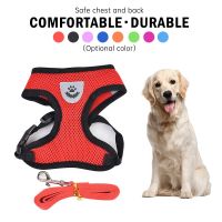 【CW】 Breathable Small Dog Harness And Leash Safety Mesh Chest Collar Pets Walking Lead Accessories