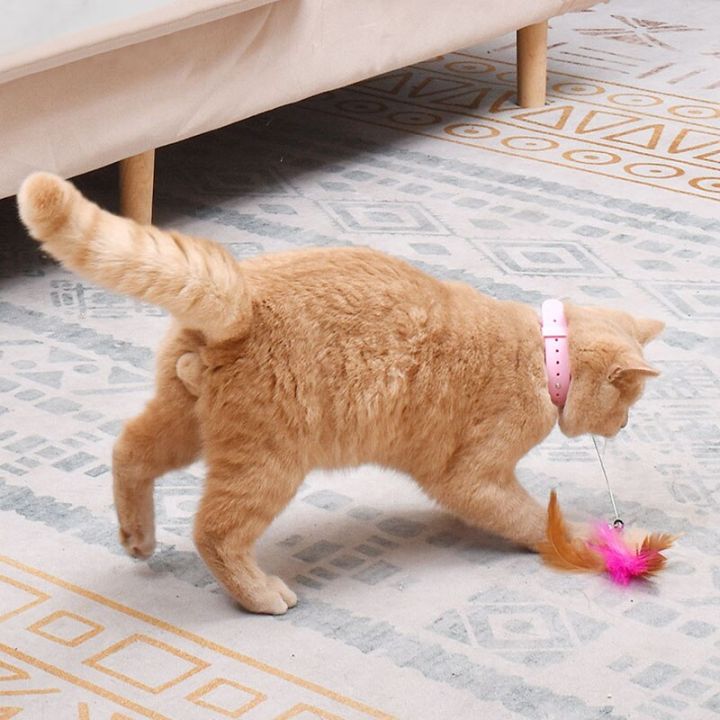 ปลอกคอขนนกของเล่นแบบอินเทอร์แอคทีฟสำหรับแมวของเล่นแมวปลอกคอแมวอุปกรณ์เล่นสำหรับสัตว์เลี้ยง