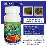 สารเสริมประสิทธิภาพ ชนิดพิเศษ FOMULA ให้สารเคมีแผ่กระจายทั่วใบพืช มี 3ขนาด 250 กรัม 500 กรัม 1000กรัม