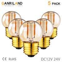 [HOT QQZIWWUJJWG 104] GANRILAND E27 12โวลต์24โวลต์หลอดไฟ LED G40 1วัตต์ E14 Led Daylight สีขาวแรงดันต่ำ E12 E14หลอดไฟ Led RV หัวรถจักรห้องแสง