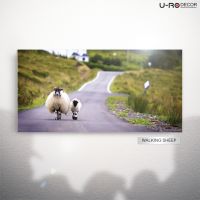 U-RO DECOR รุ่น WALKING SHEEP ภาพพิมพ์ ขนาด 50 x 100 ซม. ยูโรเดคคอร์ ภาพแต่งบ้าน รูปภาพติดผนัง รูปภาพวิวธรรมชาติ รูปภาพพิมพ์กรอบลอย ภาพวิวสวยๆ ตกแต่งผนัง รูปภาพพร้อมแขวน Printing Picture,Wall Picture, Canvas Printings